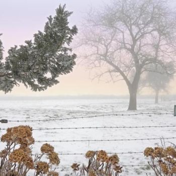 「cadre hivernal」というタイトルの写真撮影 Bernard Jacquesによって, オリジナルのアートワーク