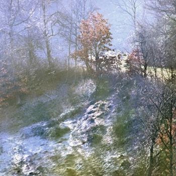 Fotografia intitulada "brume d'automne" por Bernard Jacques, Obras de arte originais