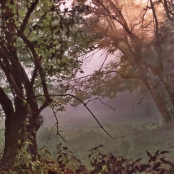 Photographie intitulée "arbres en automne" par Bernard Jacques, Œuvre d'art originale