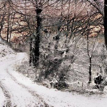 Fotografia intitulada "voyage d'hiver" por Bernard Jacques, Obras de arte originais