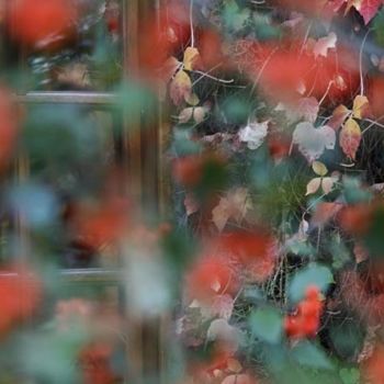 Photographie intitulée "fenêtre en automne" par Bernard Jacques, Œuvre d'art originale