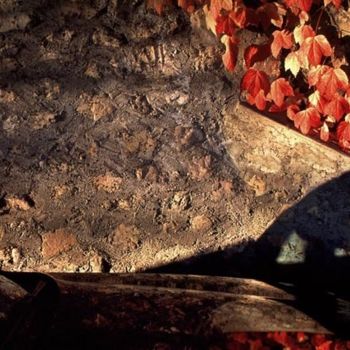 Photographie intitulée "capots en automne" par Bernard Jacques, Œuvre d'art originale