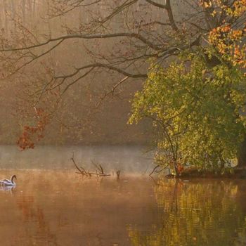 Photographie intitulée "automne aux étangs" par Bernard Jacques, Œuvre d'art originale