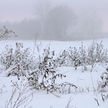 Fotografía titulada "hiver 2" por Bernard Jacques, Obra de arte original