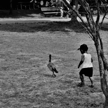 Fotografia zatytułowany „Duck Hunt” autorstwa Bernard Best, Oryginalna praca, Fotografia cyfrowa