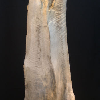 Sculpture titled "Le Petit Fantome" by Bernard Chenu, Original Artwork, Wood