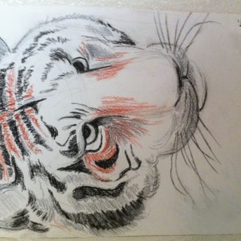 Dessin intitulée ""portrait de tigre"" par Bernard Debusschere, Œuvre d'art originale, Fusain