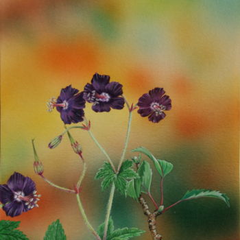 Painting titled "Flore des Pyrénées…" by Bernard Domange, Original Artwork, Acrylic