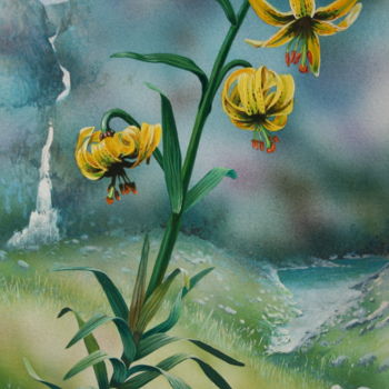 Pintura titulada "Flore des Pyrénées…" por Bernard Domange, Obra de arte original, Acrílico