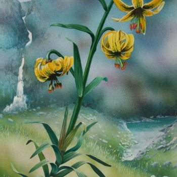 Schilderij getiteld "Flore des Pyrénées…" door Bernard Domange, Origineel Kunstwerk, Acryl