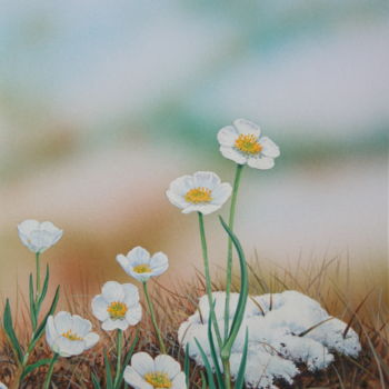 Malarstwo zatytułowany „Flore des Pyrénées…” autorstwa Bernard Domange, Oryginalna praca, Akryl