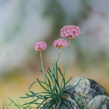 Malerei mit dem Titel "Flore des Pyrénées…" von Bernard Domange, Original-Kunstwerk, Acryl