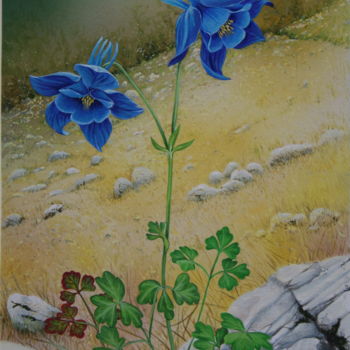 Peinture intitulée "Flore des Pyrénées…" par Bernard Domange, Œuvre d'art originale, Acrylique