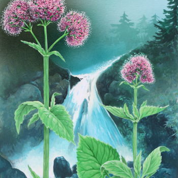 Peinture intitulée "Flore des Pyrénées 9" par Bernard Domange, Œuvre d'art originale, Acrylique