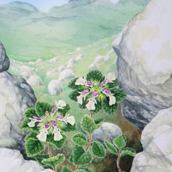 Pintura titulada "Flore des Pyrénées…" por Bernard Domange, Obra de arte original, Acrílico