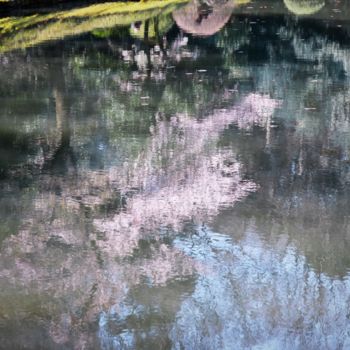 Photographie intitulée "les cerisiers sont…" par Bernard Levy, Œuvre d'art originale, Photographie numérique