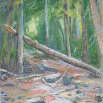 Painting titled "Path under a broken…" by Bernard Marie Collet, Original Artwork, Pastel