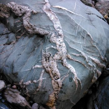 Fotografia zatytułowany „Le dragon de pierre” autorstwa Bernard Patarin, Oryginalna praca