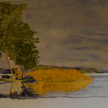 Pintura intitulada "Lac du Salagou, prè…" por Bernard Pothier, Obras de arte originais, Aquarela