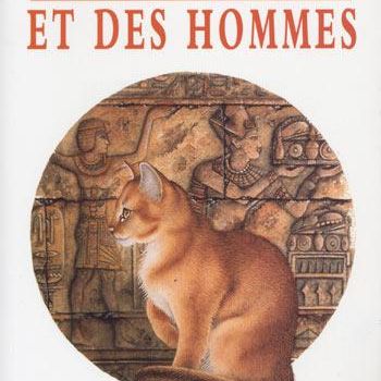 Schilderij getiteld "Histoire du Chat et…" door Bernard Vercruyce, Origineel Kunstwerk, Olie