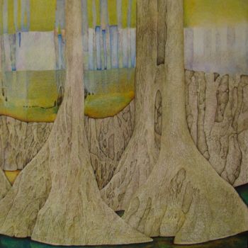 Dessin intitulée "Mangrove" par Bernard Zwegers, Œuvre d'art originale, Crayon