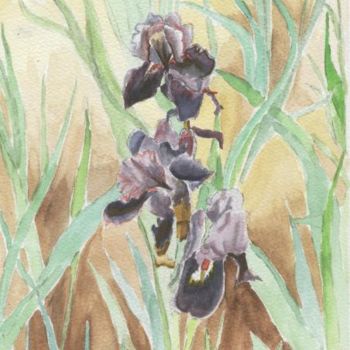 Painting titled "aquarelle les iris…" by Bernard Faucheux, Original Artwork, Oil