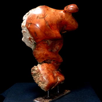 Скульптура под названием "statuette0518" - Bernard Geoffroy, Подлинное произведение искусства, Дерево