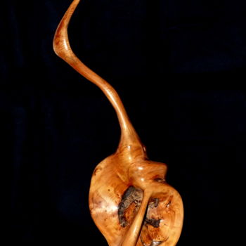 Sculpture intitulée "oiseau" par Bernard Geoffroy, Œuvre d'art originale, Bois