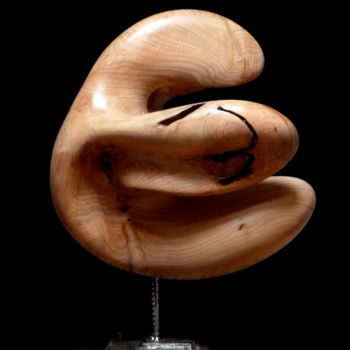 Sculpture titled "Mollusque" by Bernard Geoffroy, Original Artwork, Wood