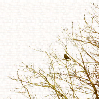 Fotografia intitulada "The blackbird Febru…" por Bernard Liotier, Obras de arte originais