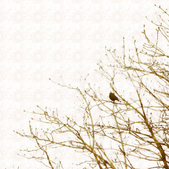 Φωτογραφία με τίτλο "The blackbird Febru…" από Bernard Liotier, Αυθεντικά έργα τέχνης