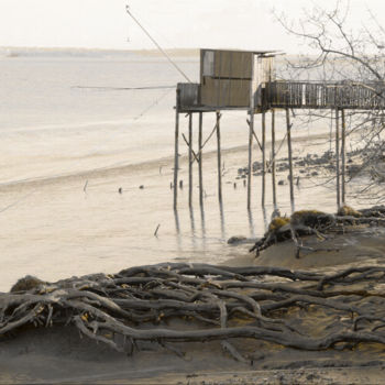 Photographie intitulée "River bank, plaices…" par Bernard Liotier, Œuvre d'art originale