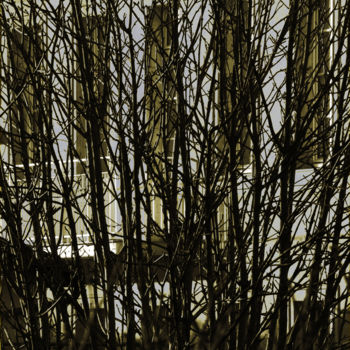 Фотография под названием "Branches in town N1…" - Bernard Liotier, Подлинное произведение искусства