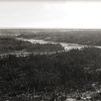 Photographie intitulée "Haze on swamp S0099…" par Bernard Liotier, Œuvre d'art originale