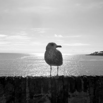 Fotografie getiteld "Il parle aux oiseau…" door Bernard Vergier, Origineel Kunstwerk