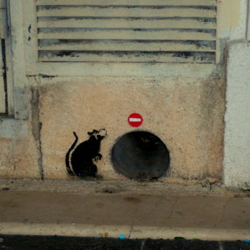 Photographie intitulée "le trou et le rat.(…" par Bernard Vergier, Œuvre d'art originale