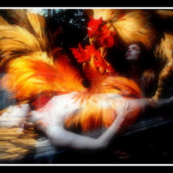 Fotografia intitulada "comme un coq en pat…" por Bernard Vergier, Obras de arte originais