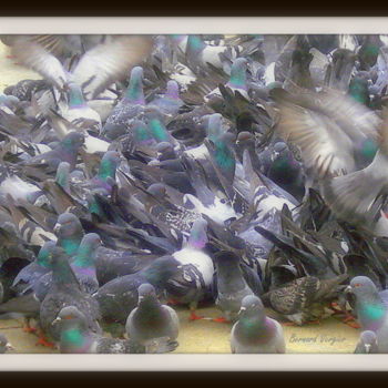 Fotografie mit dem Titel "pigeons volent(dans…" von Bernard Vergier, Original-Kunstwerk