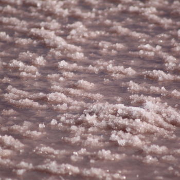 Photographie intitulée "à fleur de sel (col…" par Bernard Vergier, Œuvre d'art originale