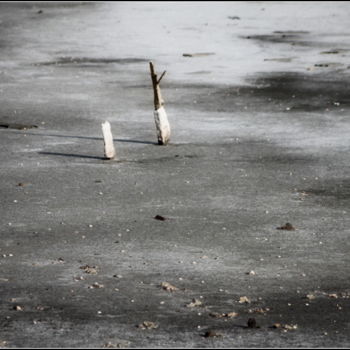 Fotografie getiteld "animal en quarantai…" door Bernard Vergier, Origineel Kunstwerk