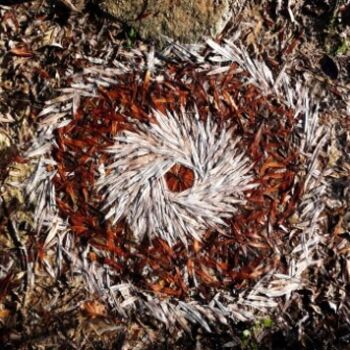 Instalación titulada "Mandala de saule" por Alain Bernegger, Obra de arte original