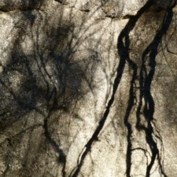 Photographie intitulée "Lignes d'ombres" par Alain Bernegger, Œuvre d'art originale