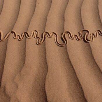 Installation intitulée "serpent des sables…" par Alain Bernegger, Œuvre d'art originale