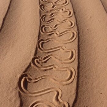 Instalação intitulada "Lacet de sable" por Alain Bernegger, Obras de arte originais