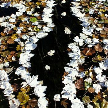 Инсталляция под названием "canal de feuilles" - Alain Bernegger, Подлинное произведение искусства