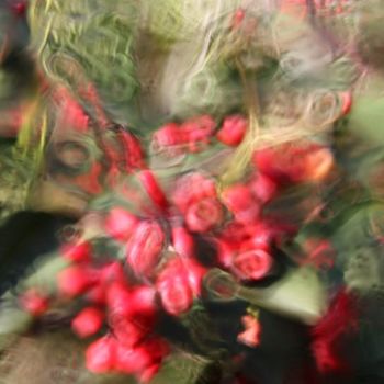 Photographie intitulée "Jardin floue" par Alain Bernegger, Œuvre d'art originale