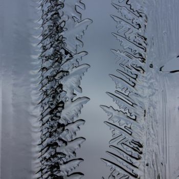 Installation titled "Fougères de glace" by Alain Bernegger, Original Artwork