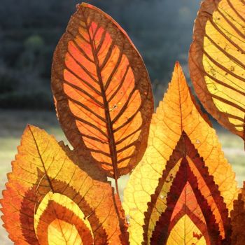 Instalación titulada "Création en feuilles" por Alain Bernegger, Obra de arte original