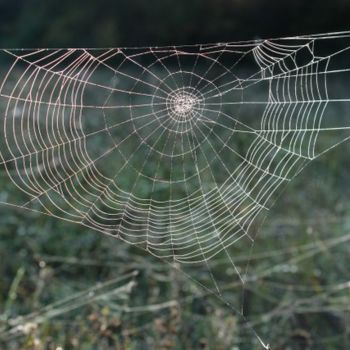 "Toile d'araignée" başlıklı Yerleştirme  Alain Bernegger tarafından, Orijinal sanat