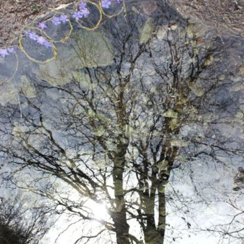 「Reflet d'arbre」というタイトルのインストール Alain Berneggerによって, オリジナルのアートワーク
